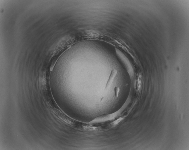 X0000087530516200704271210