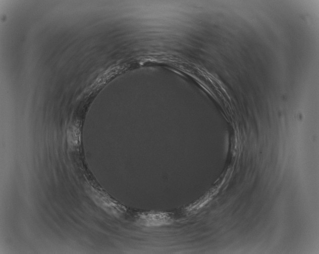 X0000087530517200704271210