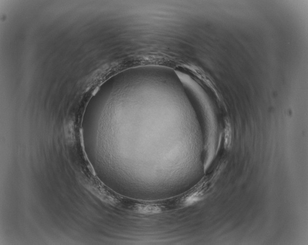 X0000087530520200704271210