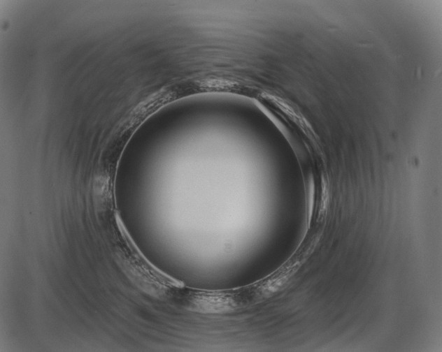 X0000087530521200704271210