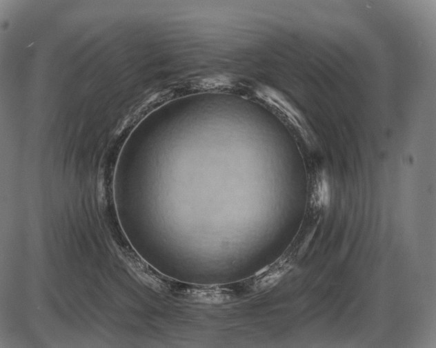 X0000087530524200704271210