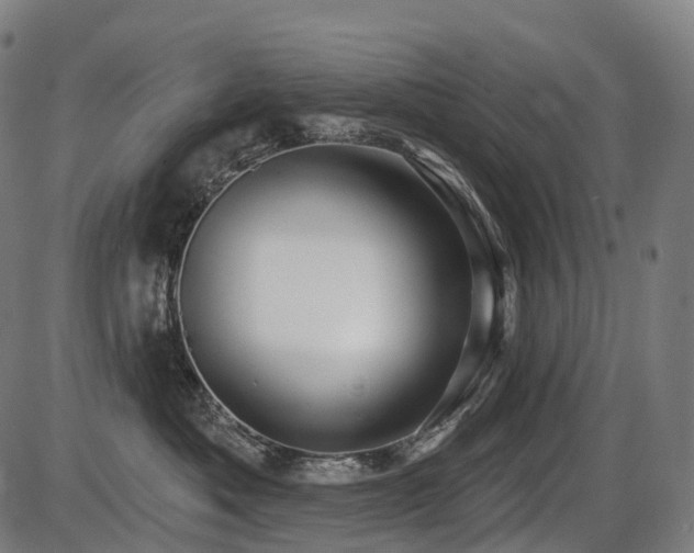 X0000087530525200704271210