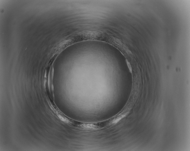 X0000087530528200704271210