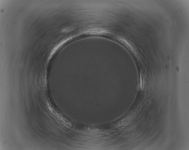 X0000087530531200704271209