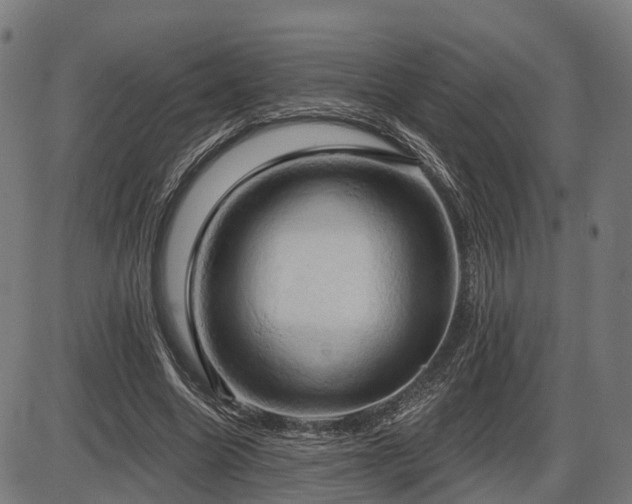 X0000087530538200704271209