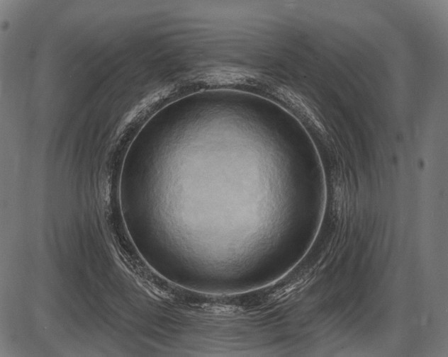 X0000087530539200704271209