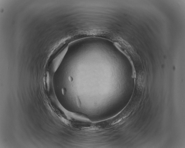 X0000087530540200704271209