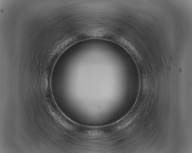 X0000087530541200704271209