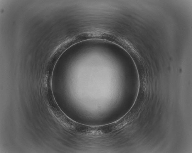 X0000087530543200704271209
