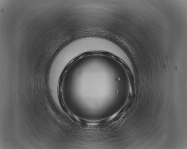 X0000087530546200704271209