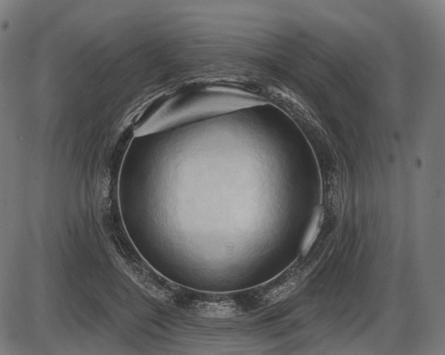 X0000087530548200704271209