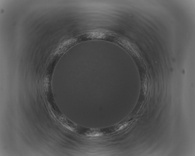 X0000087530551200704271209