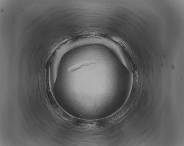 X0000087530552200704271209