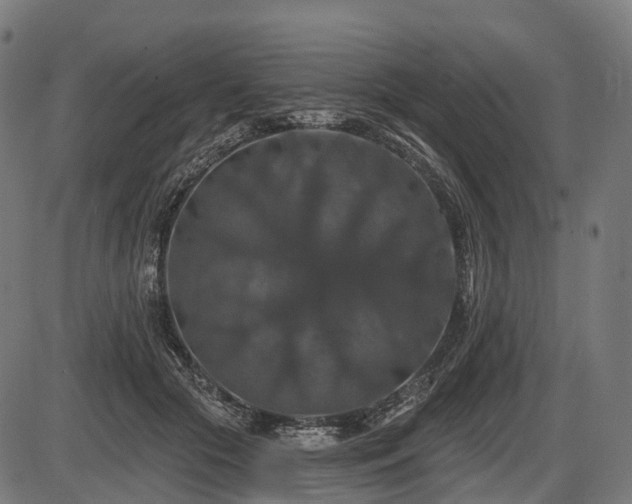 X0000087530553200704271209