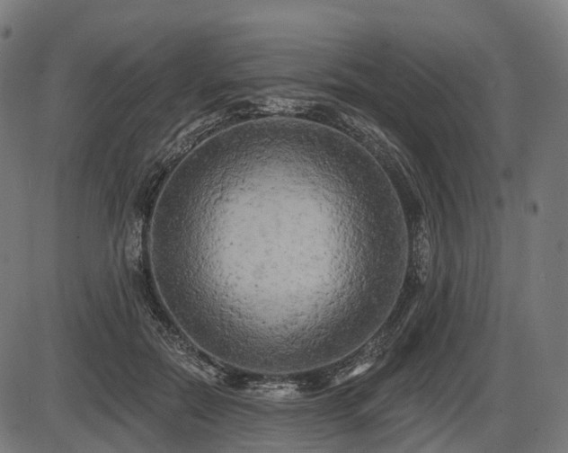 X0000087530554200704271209