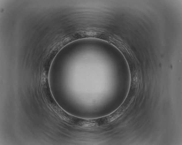 X0000087530555200704271209