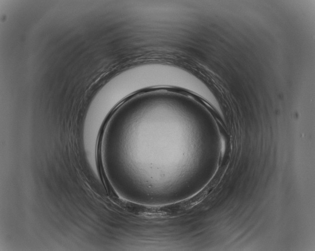 X0000087530556200704271210