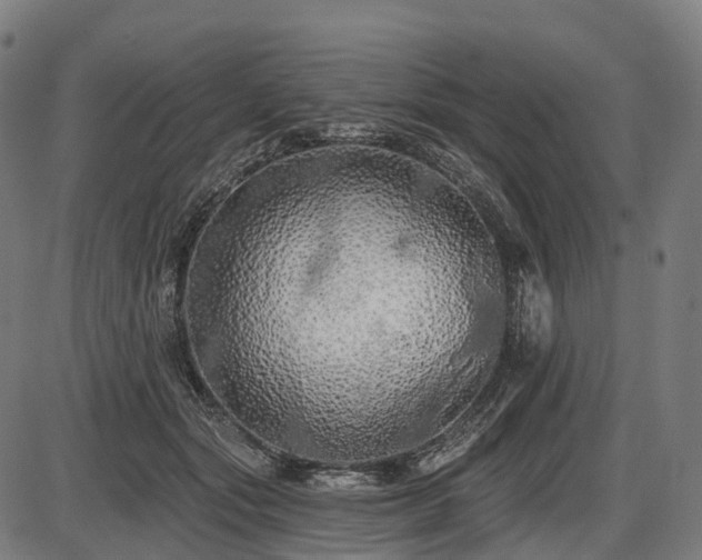 X0000087530557200704271210