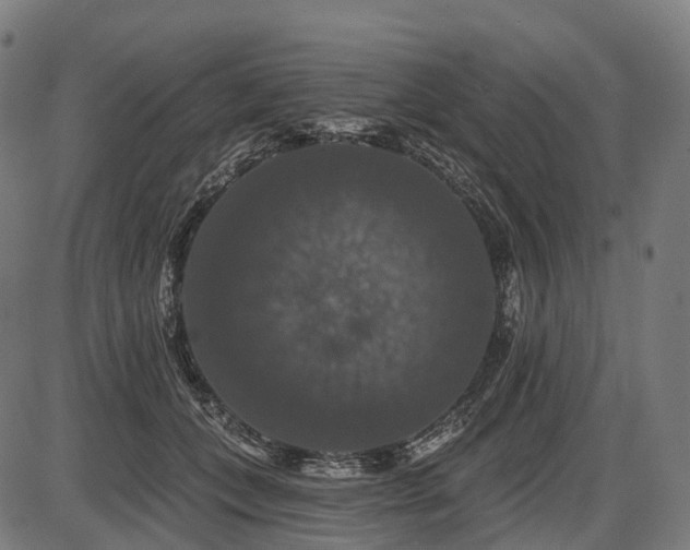 X0000087530559200704271210