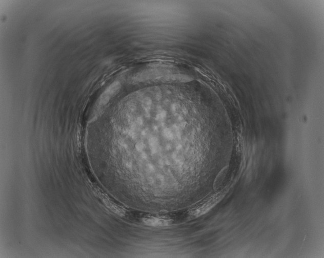 X0000087530561200704271210