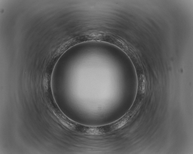 X0000087530562200704271210