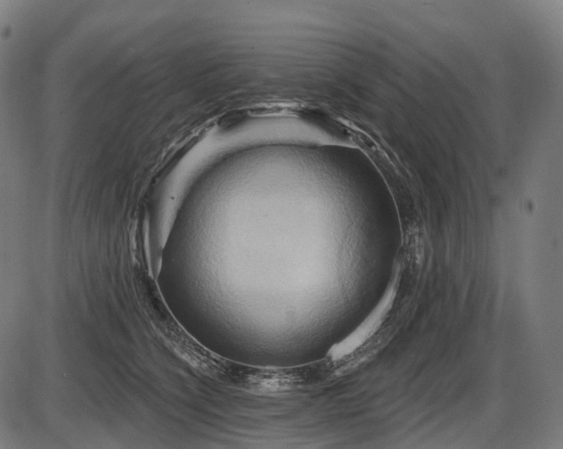 X0000087530564200704271210