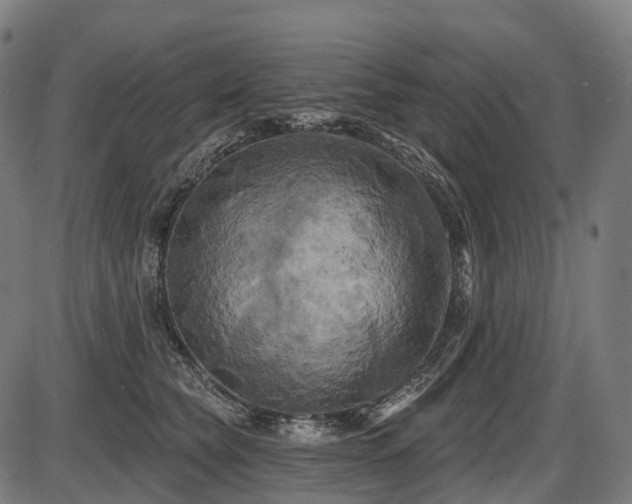 X0000087530565200704271210