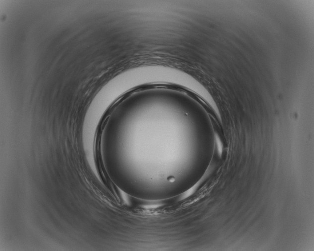X0000087530566200704271210