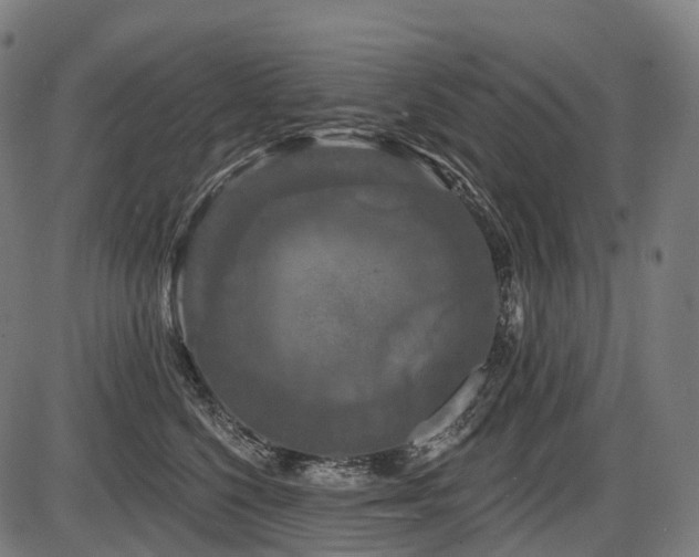 X0000087530568200704271210