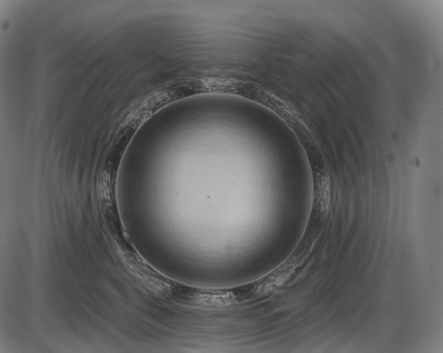 X0000087530571200704271210