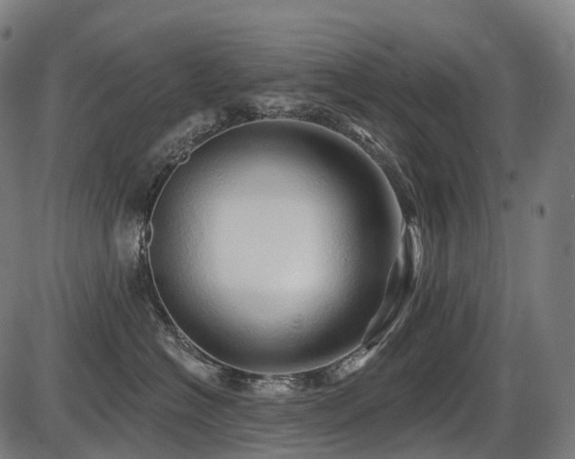 X0000087530574200704271210