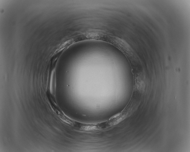 X0000087530575200704271210
