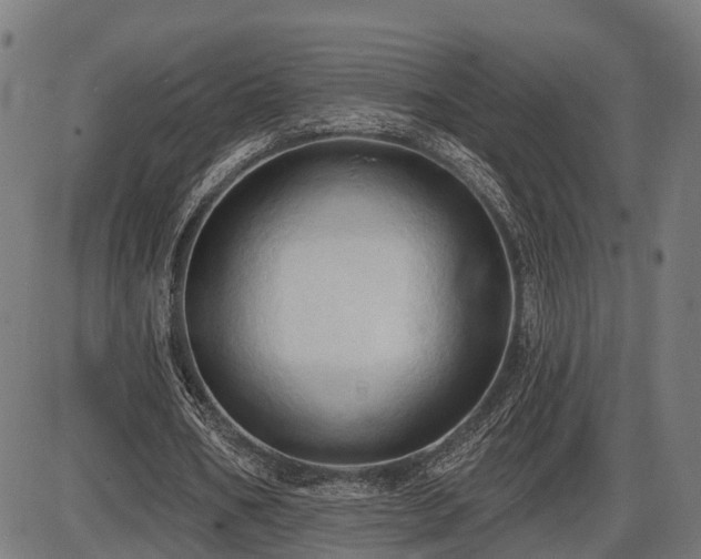 X0000087530578200704271209