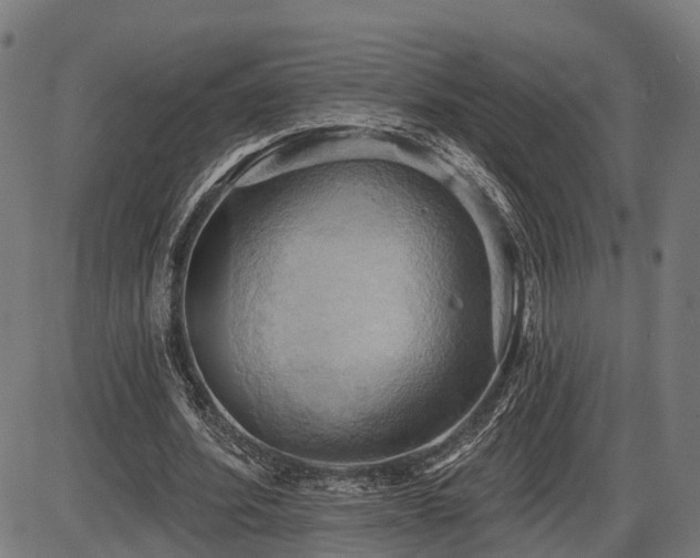 X0000087530580200704271209