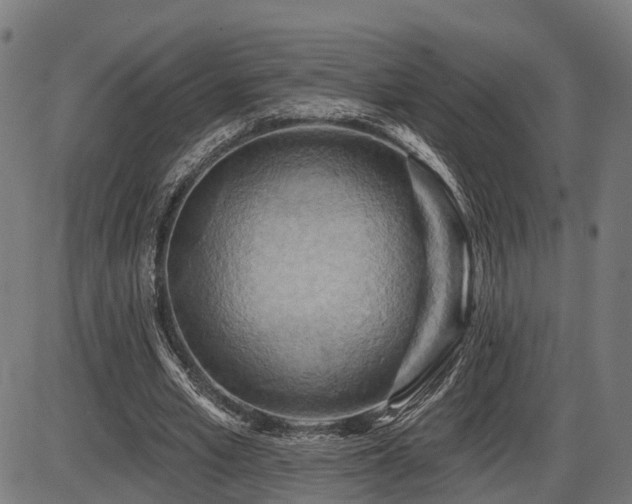 X0000087530581200704271209