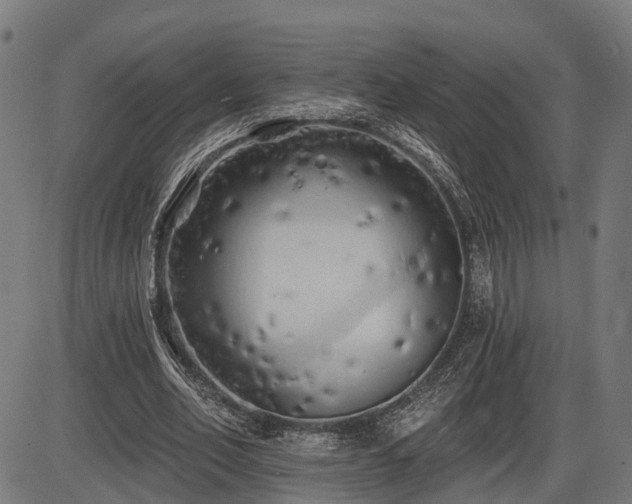 X0000087530582200704271209