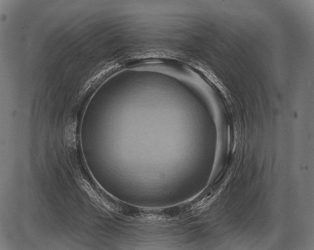 X0000087530585200704271209