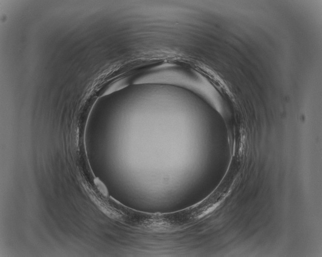 X0000087530589200704271209