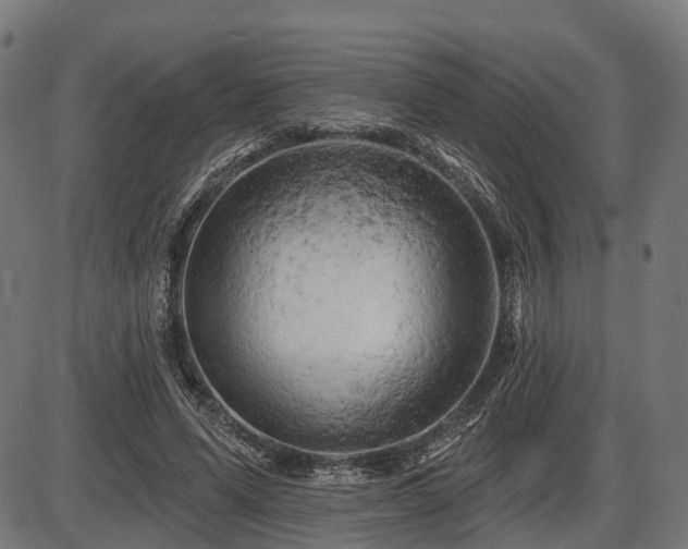 X0000087530591200704271209