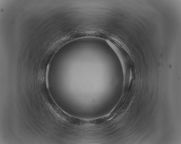 X0000087530593200704271209