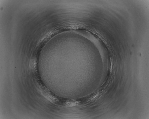 X0000087530595200704271209