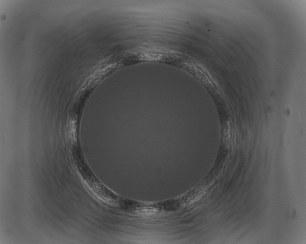 X0000087530598200704271209