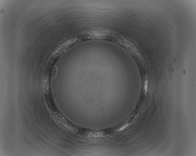 X0000087530599200704271209