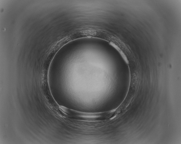 X0000087530600200704271209