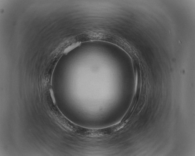X0000087530601200704271209