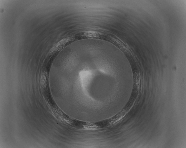X0000087530603200704271209