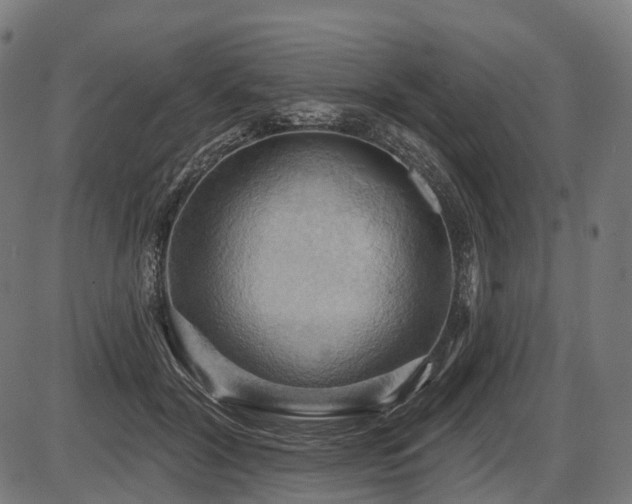 X0000087530604200704271209