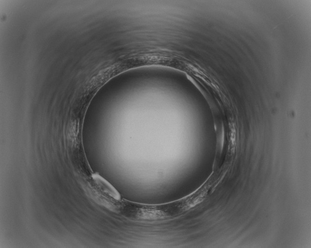 X0000087530605200704271209