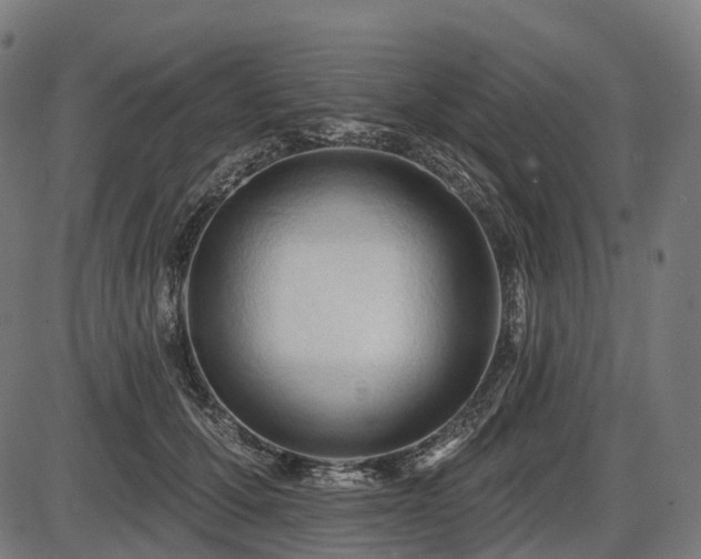 X0000087530607200704271209