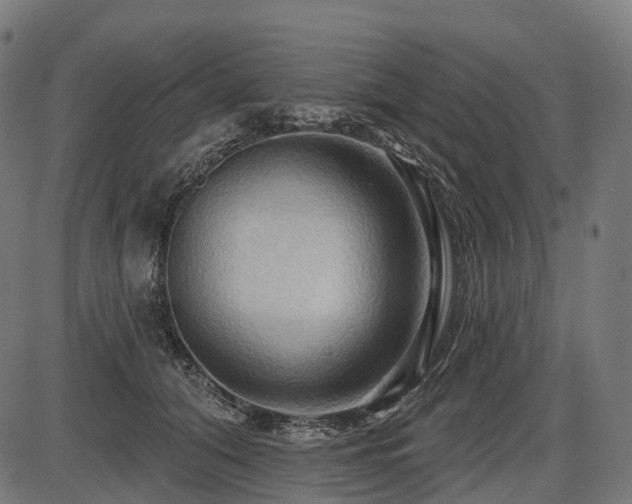 X0000087530608200704271209
